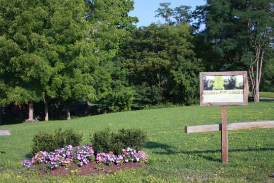 Steuben Senior Services Fund, Inc. | Community Garden